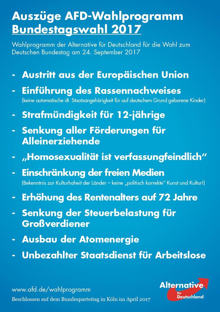 AFD Wahlprogramm