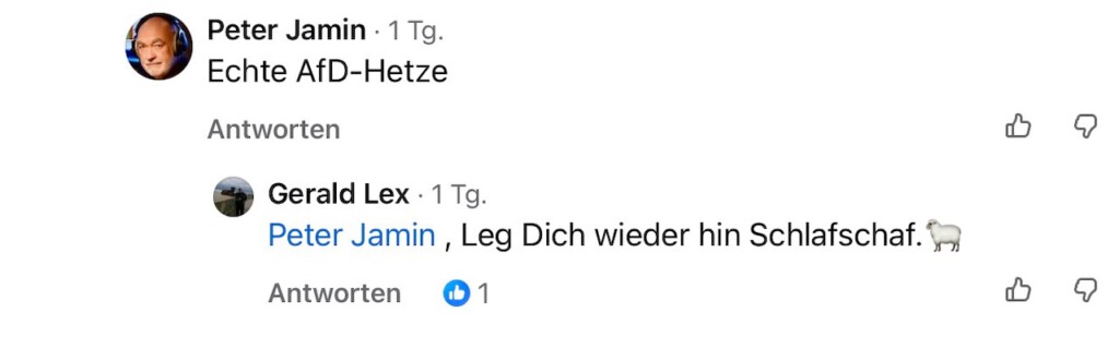Üble Beschimpfung der Ex-Kanzlerin Merkel durch den AfD-Bundestagsabgeordneten Renner
