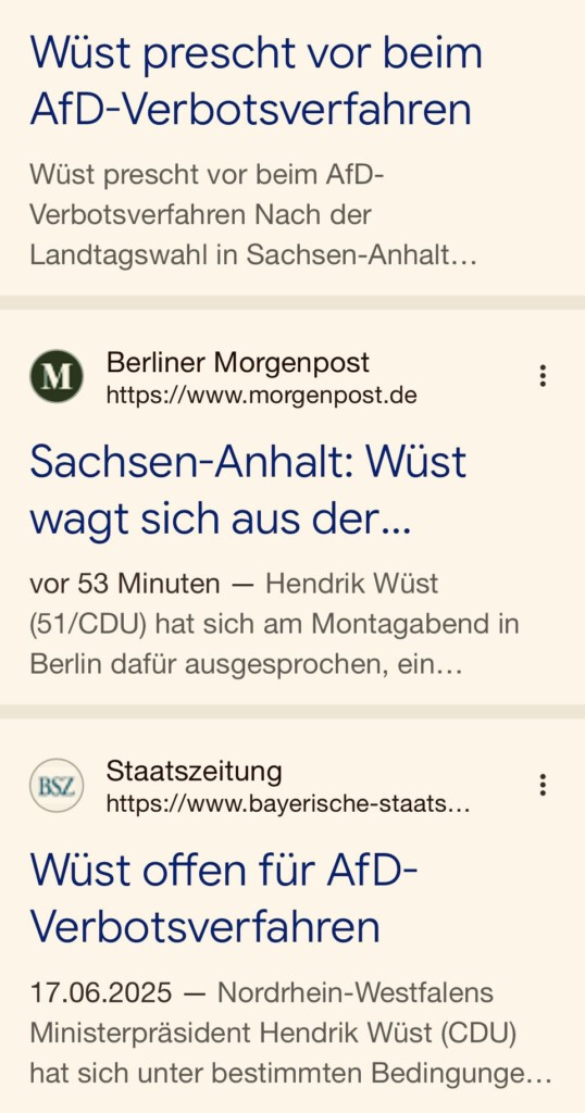 Deutschland benötigt jetzt eine breite, öffentliche Debatte über ein Verbot der in Teilen rechtsextremen AfD